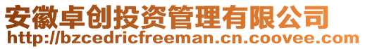安徽卓創(chuàng)投資管理有限公司