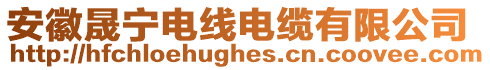 安徽晟寧電線電纜有限公司