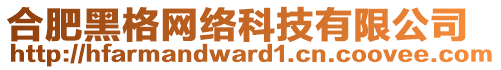 合肥黑格網(wǎng)絡(luò)科技有限公司