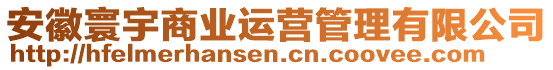 安徽寰宇商業運營管理有限公司