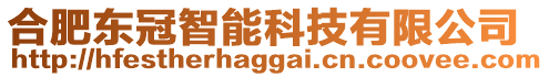 合肥東冠智能科技有限公司