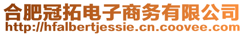 合肥冠拓電子商務有限公司