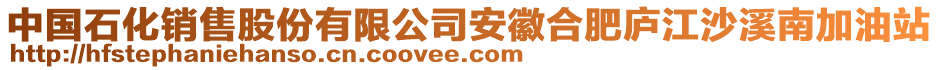 中国石化销售股份有限公司安徽合肥庐江沙溪南加油站