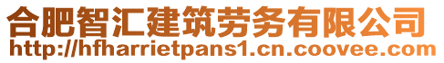 合肥智汇建筑劳务有限公司