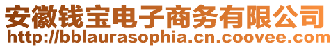 安徽錢寶電子商務(wù)有限公司