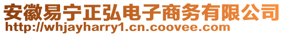 安徽易寧正弘電子商務(wù)有限公司