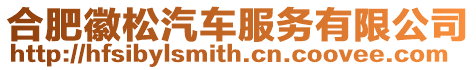 合肥徽松汽車服務有限公司