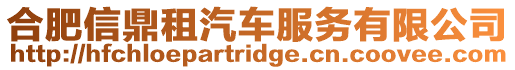 合肥信鼎租汽車服務有限公司