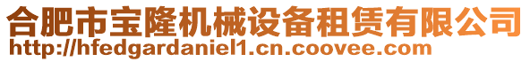 合肥市寶隆機(jī)械設(shè)備租賃有限公司