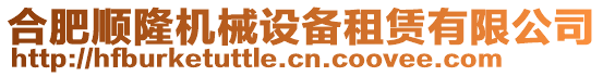 合肥順隆機械設(shè)備租賃有限公司