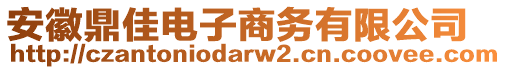 安徽鼎佳電子商務(wù)有限公司