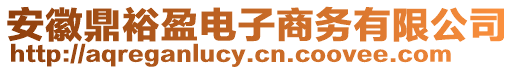 安徽鼎裕盈電子商務有限公司