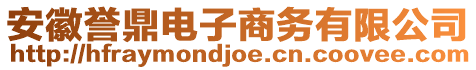 安徽譽(yù)鼎電子商務(wù)有限公司