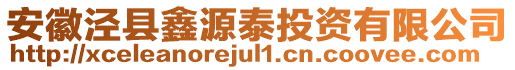 安徽涇縣鑫源泰投資有限公司