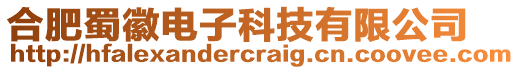 合肥蜀徽電子科技有限公司