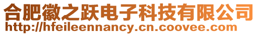 合肥徽之躍電子科技有限公司