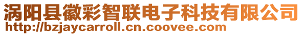 渦陽縣徽彩智聯(lián)電子科技有限公司