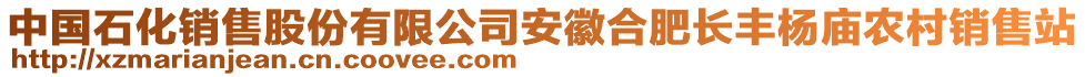 中國石化銷售股份有限公司安徽合肥長豐楊廟農(nóng)村銷售站