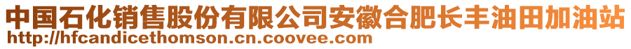 中國(guó)石化銷(xiāo)售股份有限公司安徽合肥長(zhǎng)豐油田加油站