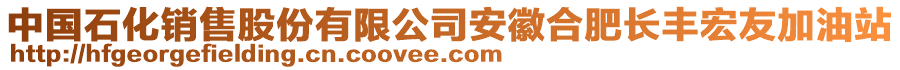 中國石化銷售股份有限公司安徽合肥長豐宏友加油站