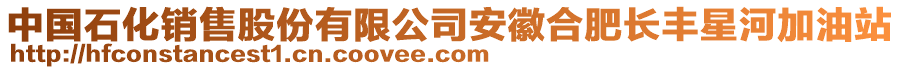 中國石化銷售股份有限公司安徽合肥長豐星河加油站