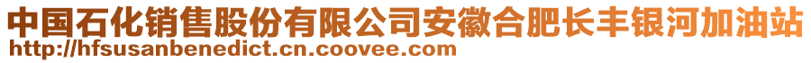 中國石化銷售股份有限公司安徽合肥長豐銀河加油站