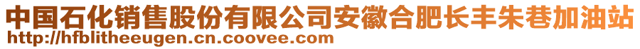 中國(guó)石化銷(xiāo)售股份有限公司安徽合肥長(zhǎng)豐朱巷加油站