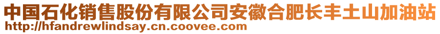 中國石化銷售股份有限公司安徽合肥長豐土山加油站