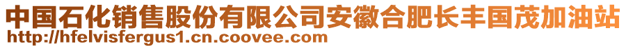 中國石化銷售股份有限公司安徽合肥長豐國茂加油站