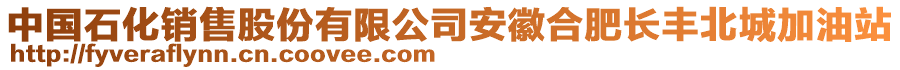 中國石化銷售股份有限公司安徽合肥長豐北城加油站