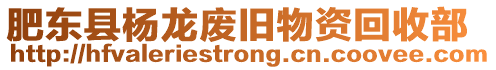 肥東縣楊龍廢舊物資回收部