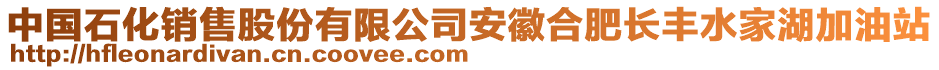 中國(guó)石化銷售股份有限公司安徽合肥長(zhǎng)豐水家湖加油站