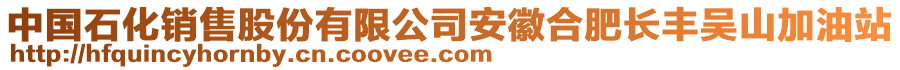 中國石化銷售股份有限公司安徽合肥長豐吳山加油站