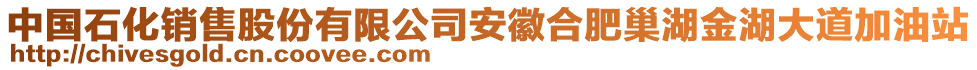 中國石化銷售股份有限公司安徽合肥巢湖金湖大道加油站