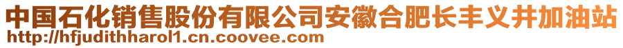 中國石化銷售股份有限公司安徽合肥長豐義井加油站