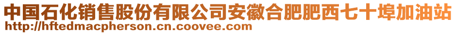 中國石化銷售股份有限公司安徽合肥肥西七十埠加油站