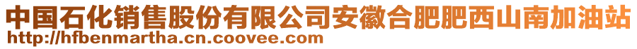 中國石化銷售股份有限公司安徽合肥肥西山南加油站