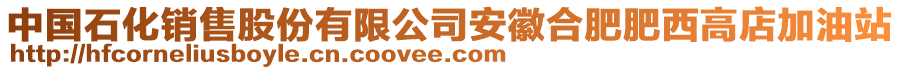 中國石化銷售股份有限公司安徽合肥肥西高店加油站