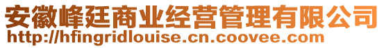 安徽峰廷商業(yè)經(jīng)營管理有限公司