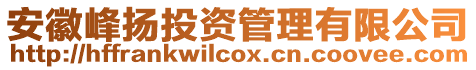 安徽峰揚投資管理有限公司