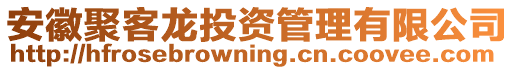 安徽聚客龍投資管理有限公司