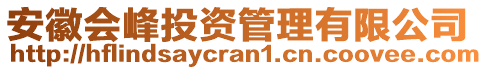 安徽會峰投資管理有限公司