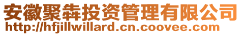 安徽聚犇投資管理有限公司