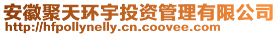 安徽聚天環(huán)宇投資管理有限公司