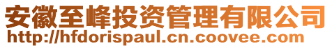 安徽至峰投資管理有限公司