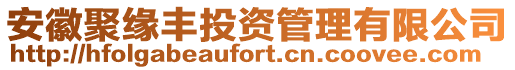 安徽聚緣豐投資管理有限公司