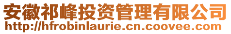安徽祁峰投資管理有限公司