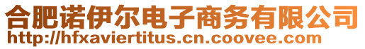 合肥諾伊爾電子商務(wù)有限公司