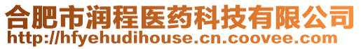 合肥市潤(rùn)程醫(yī)藥科技有限公司