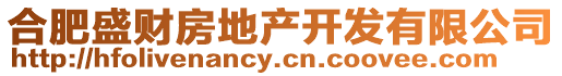 合肥盛財房地產(chǎn)開發(fā)有限公司